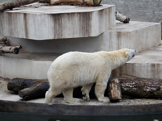 Warszawa. ZOO w listopadzie.