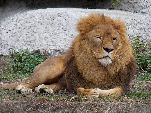 Warszawa. ZOO w listopadzie.