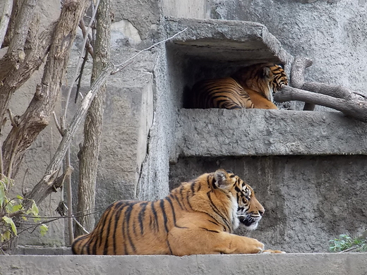 Warszawa. ZOO w listopadzie.