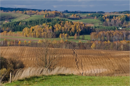 Suwalszczyzna jesieni.