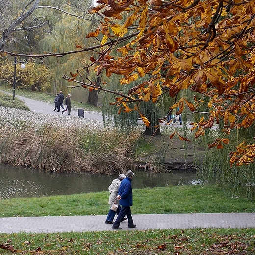 Jesie w warszawskim parku.