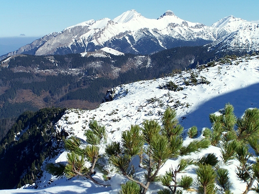 Tatry Bielskie ze wistowej Czuby.