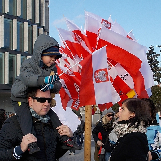 Warszawa. wito Niepodlegoci 2013.