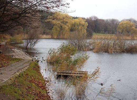 Warszawa. Park Szczliwicki w listopadzie.