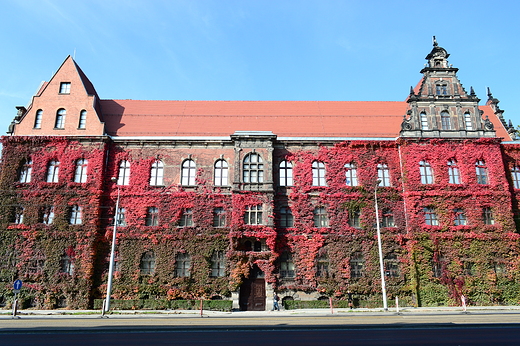 Muzeum Narodowe