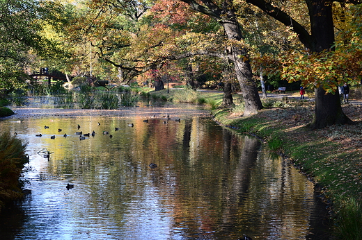 Park Szczytnicki