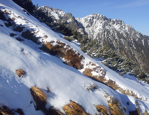 Tatry Wysokie, widok Wooszyna ze wistwki.