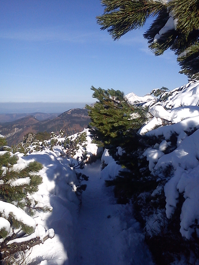 Tatry Wysokie, na wistwce Roztockiej.