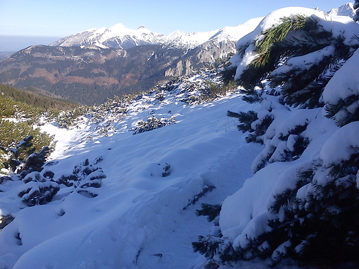 Widok ze wistwki na Tatry Bielskie.