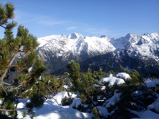 Sowackie Tatry ze wistwki.