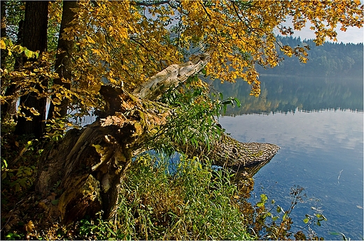 Na brzegu jeziora Hacza.