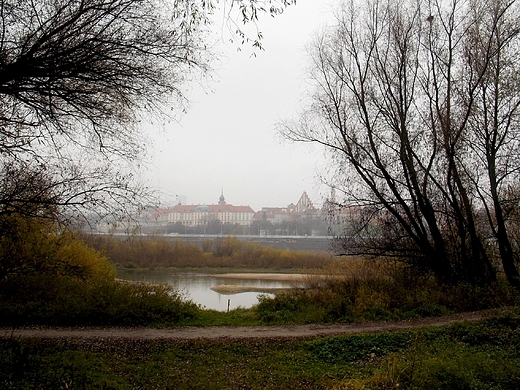 Warszawa. Nad Wis w listopadzie.