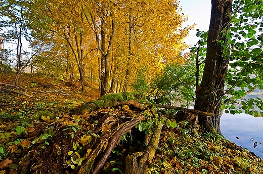 Poegnanie jesieni nad jeziorem Hacza.