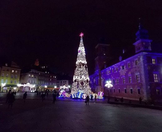 witeczna iluminacja Warszawy. Choinka na Placu Zamkowym.