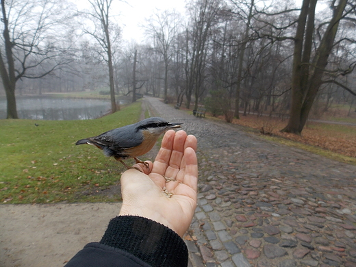 Warszawa. Grudniowe spotkania w azienkach.