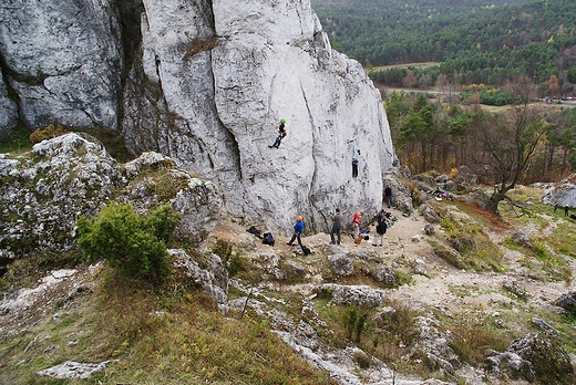 Gra Zborw