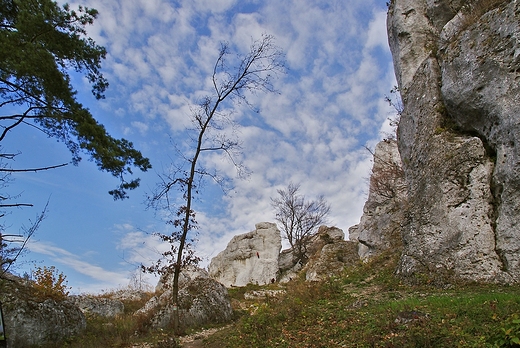 Gra Zborw