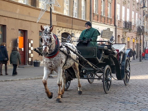 Warszawa. Doroka na Starwce.