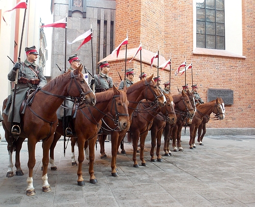 Warszawa. Obchody 95-tej rocznicy wybuchu Powstania Wielkopolskiego.