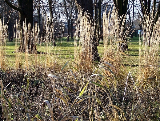 Warszawa Ursus, Park Czechowicki.