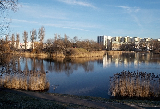 Warszawa. Park Szczliwicki w styczniu.