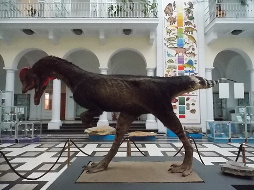 Warszawa. Muzeum Geologiczne. Model dinozaura - dilofozaura.