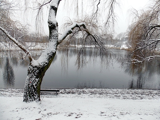 Warszawa. Zimowy Park Szczliwicki.