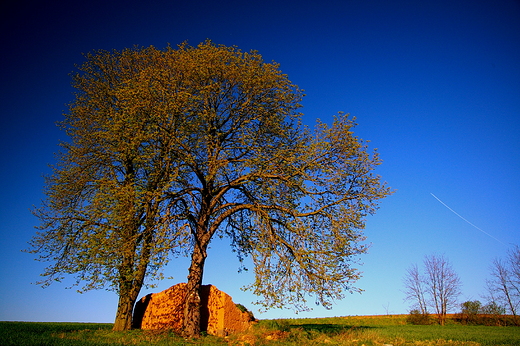 Stankowo - ruiny starej stodoy