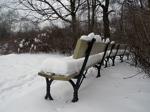 Warszawa. Zimowy Park Skaryszewski.