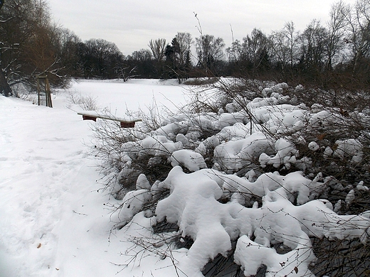 Warszawa. Zimowy Park Skaryszewski.