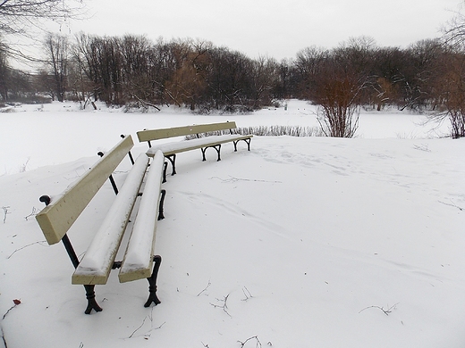 Warszawa. Zimowy Park Skaryszewski.