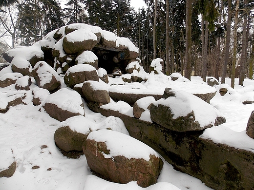 Warszawa. Zimowy Park Skaryszewski.