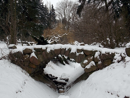 Warszawa. Zimowy Park Skaryszewski.