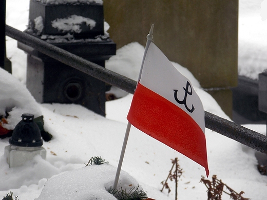 Warszawa. Zimowe Powzki.