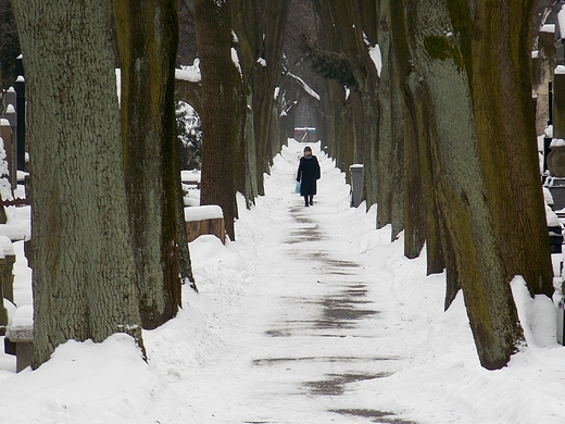 Warszawa. Zimowe Powzki.