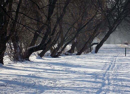 Warszawa. Zimowy Park Szczliwicki.