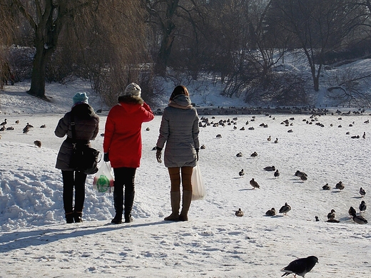 Warszawa. Zimowy Park Moczydo.