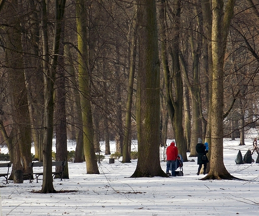 Warszawa. Zimowa niedziela w azienkach.