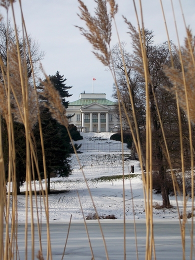 Warszawa. Belweder. Widok z azienek.