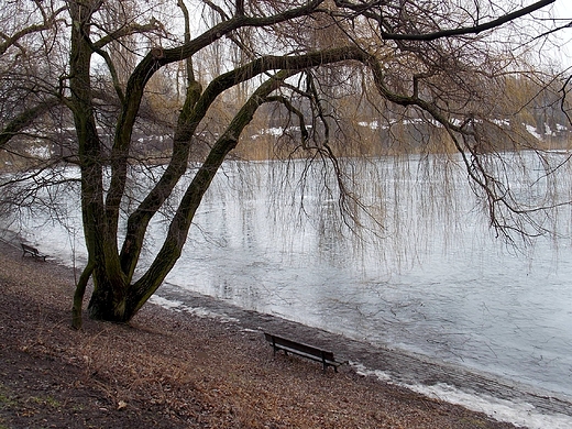 Warszawa. Park Szczliwicki w lutym.