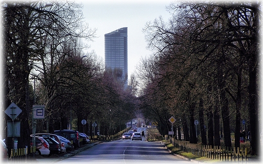 Sky Tower widziany z ulicy Niskie ki