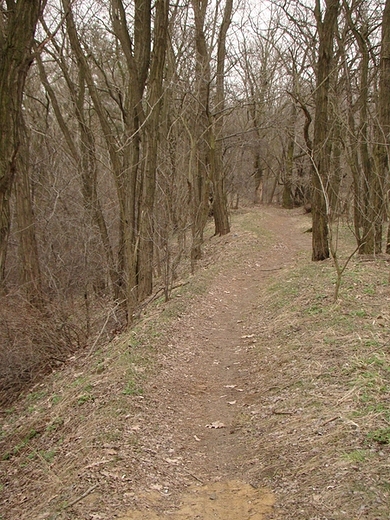 Fort I Bielany