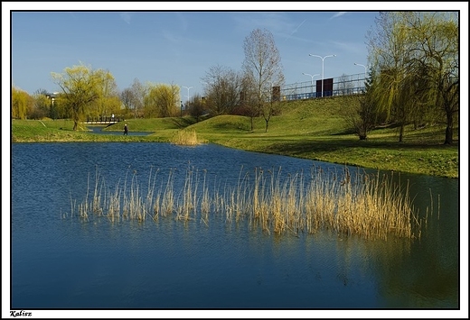 Kalisz - pocztek wiosny 2014 r. w Parku Przyjani