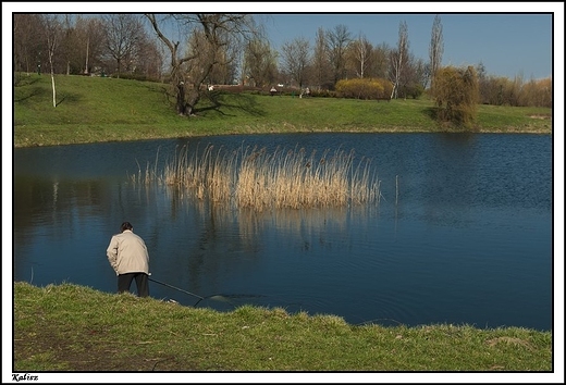 Kalisz - pocztek wiosny 2014 r. w Parku Przyjani