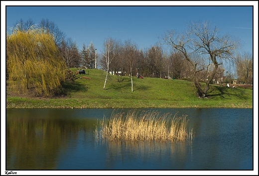 Kalisz - pocztek wiosny 2014 r. w Parku Przyjani