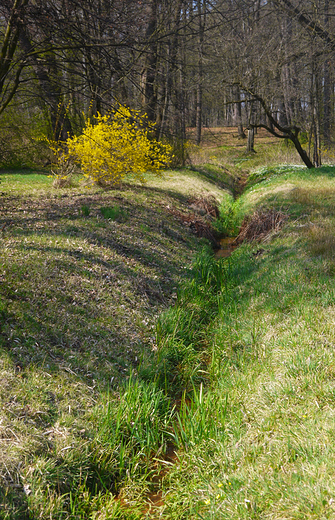 Pierwszy dzie wiosny w Pszczynie. Park Zamkowy.