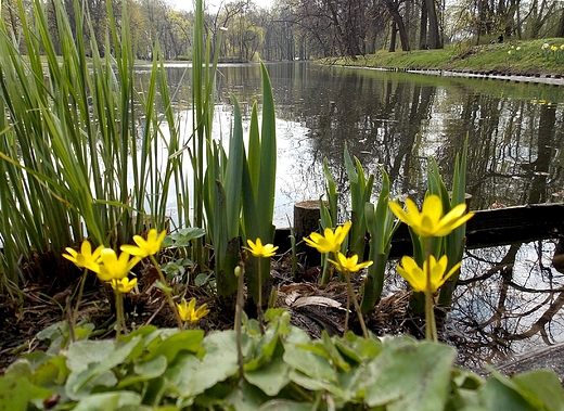 Warszawa. Wiosna w azienkach.