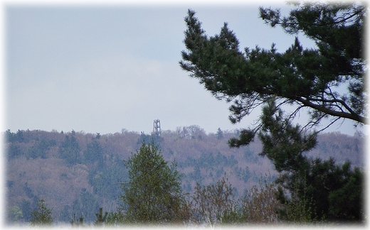 Chodzc po Raduni... widok na l