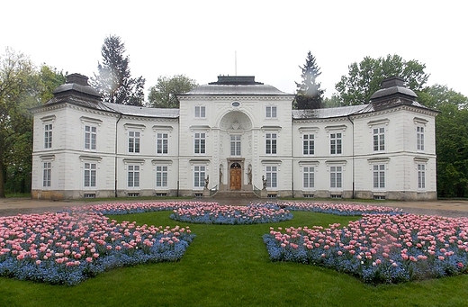 Warszawa. Tulipany przed Paacem Mylewickim.