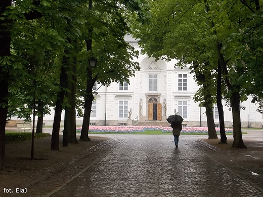 Warszawa. Deszczowe azienki.